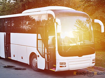 bus bus